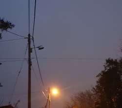 Photo of this report