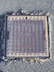 Photo of this report