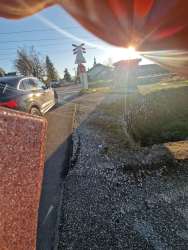Photo of this report