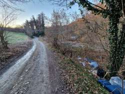 Photo of this report