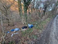 Photo of this report