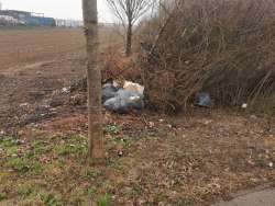 Photo of this report