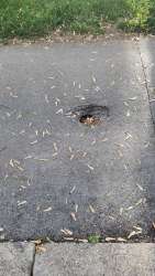 Photo of this report