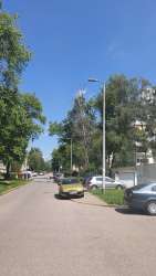 Photo of this report