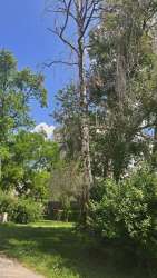 Photo of this report