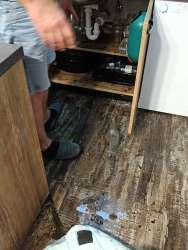 Photo of this report