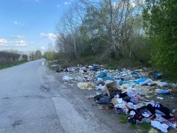Photo of this report