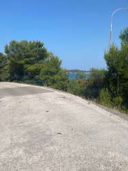 Photo of this report