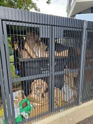 Photo of this report