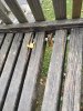 Dječji parkić u jako losšem stanju