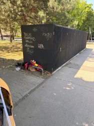 Photo of this report