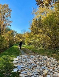 Photo of this report