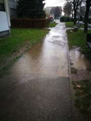 Photo of this report