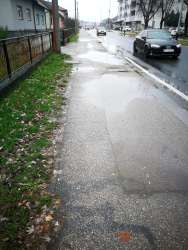 Photo of this report