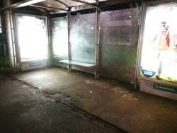 Photo of this report