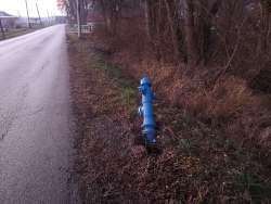 Photo of this report