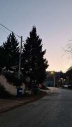 Photo of this report