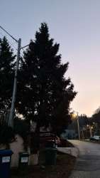 Photo of this report