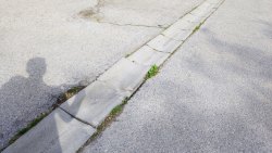 Photo of this report