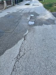 Photo of this report