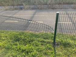 Photo of this report