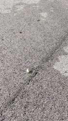 Photo of this report