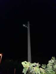 Photo of this report