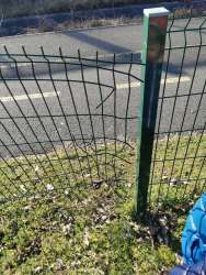 Photo of this report