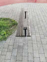 Photo of this report